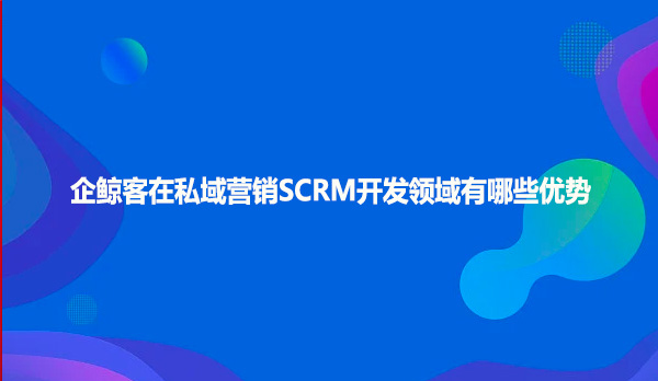 企鲸客在私域营销SCRM开发领域有哪些优势