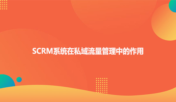 SCRM系统在私域流量管理中的作用