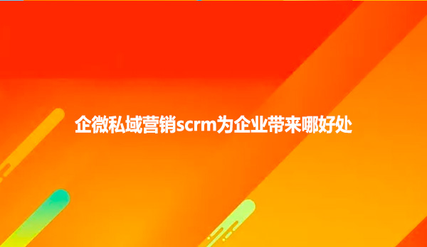 企微私域营销scrm为企业带来哪好处