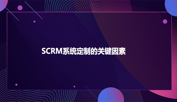SCRM系统定制的关键因素
