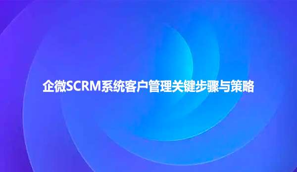 企微SCRM系统客户管理关键步骤与策略