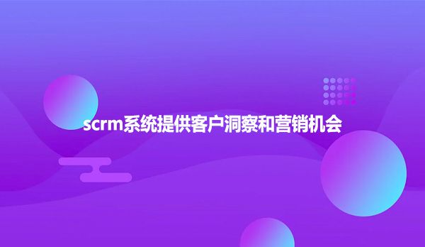 scrm系统提供客户洞察和营销机会