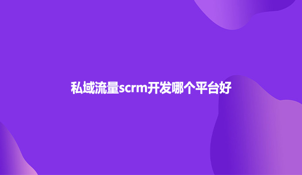 私域流量scrm开发哪个平台好