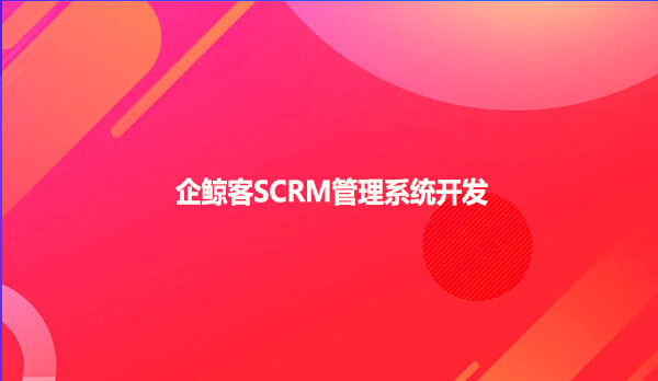 企鲸客SCRM管理系统开发