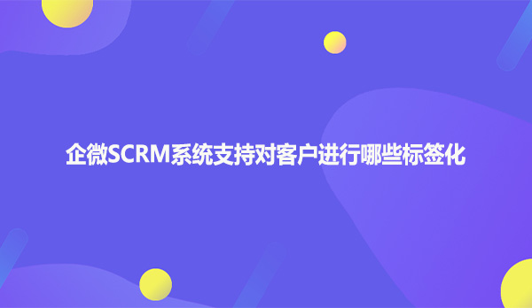 企微SCRM系统支持对客户进行哪些标签化