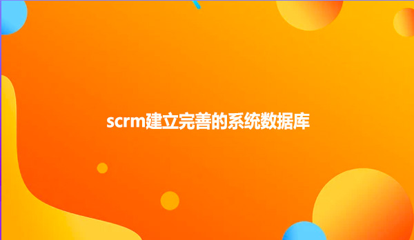 scrm建立完善的系统数据库