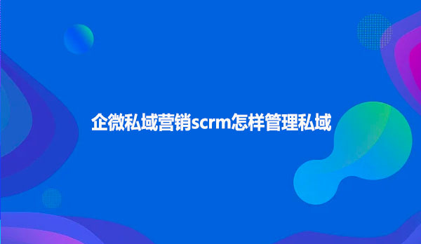 企微私域营销scrm怎样管理私域